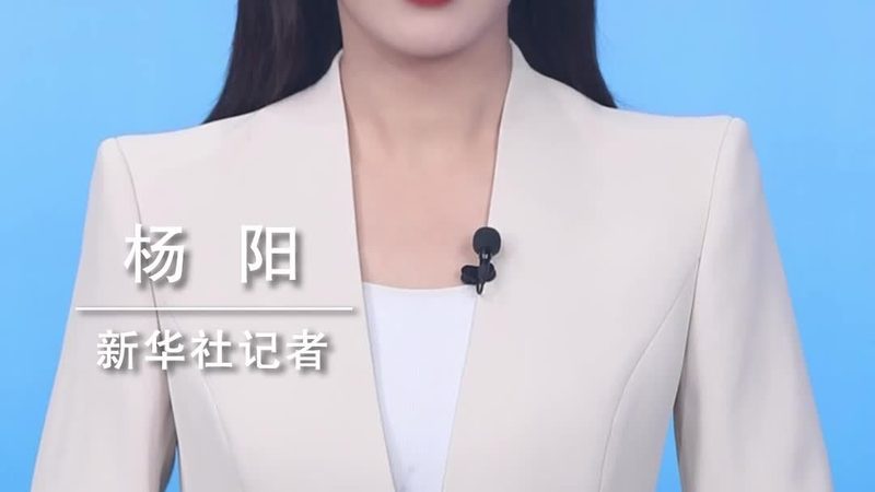 上海云端商业智能平台：揭秘企业数字化转型的加速器**